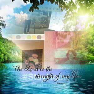 Meet your Posher, Joy